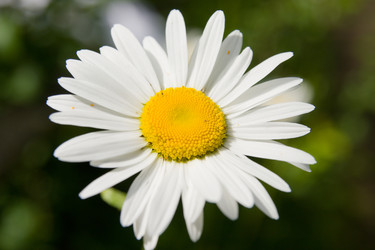 Similar image 165100