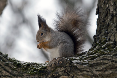 Similar image 165106