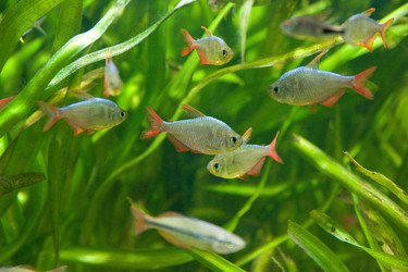 Similar image 165112