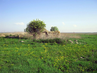 Similar image 165131