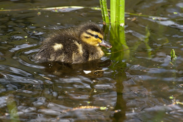 Similar image 165154