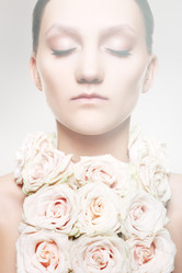 Similar image 165174