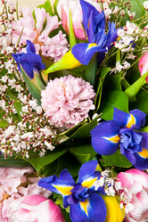 Similar image 165200