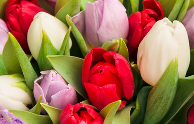 Similar image 165206