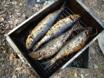 Similar image 165212