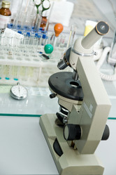 Similar image 165217