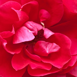 Similar image 165231