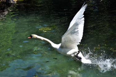 Similar image 165236