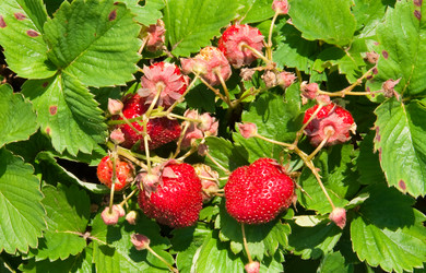 Similar image 165272