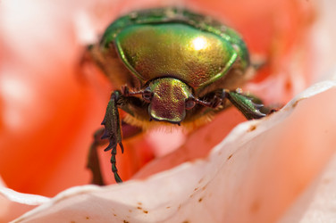 Similar image 165280