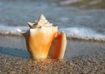 Similar image 165349