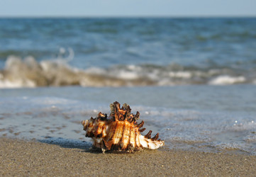 Similar image 165350