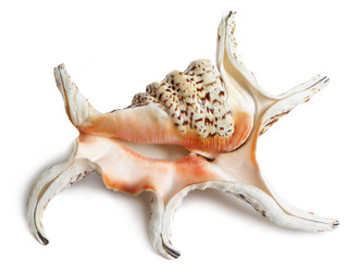 Similar image 165358