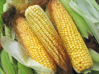 Similar image 165372