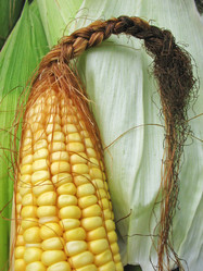 Similar image 165373