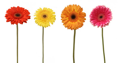 Similar image 165383