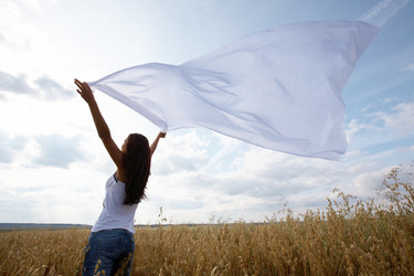 Similar image 165384