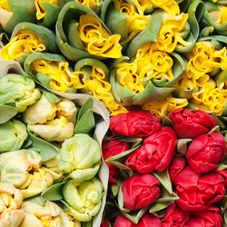 Similar image 165388