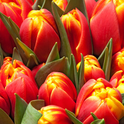 Similar image 165389