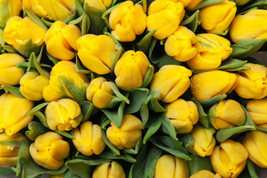 Similar image 165391