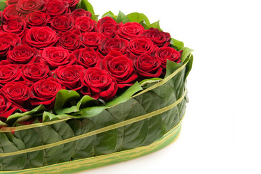 Similar image 165395