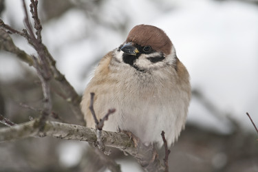 Similar image 165406