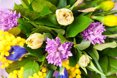 Similar image 165407