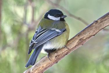 Similar image 165409