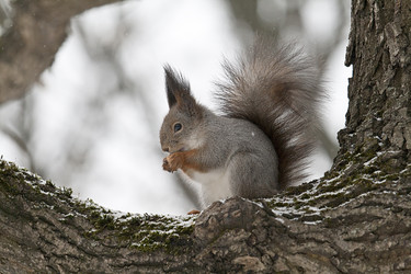 Similar image 165411