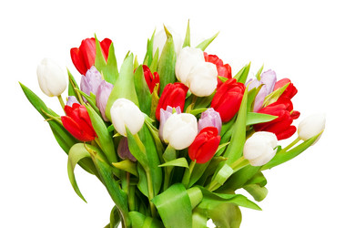 Similar image 165413