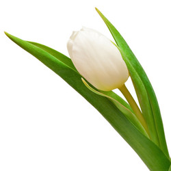 Similar image 165418