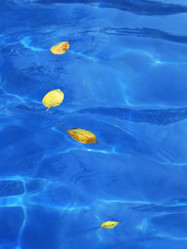 Similar image 165446