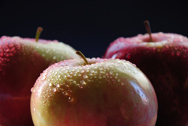 Similar image 165473