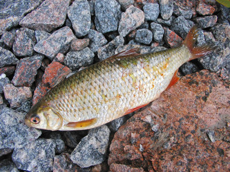 Similar image 165479