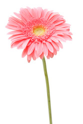 Similar image 165482