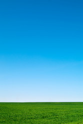 Similar image 165519