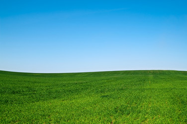 Similar image 165520