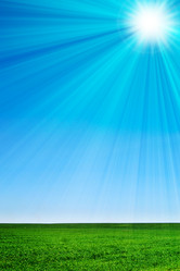 Similar image 165527