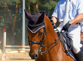 Similar image 165529