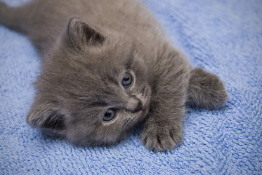 Similar image 165543