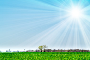 Similar image 165546