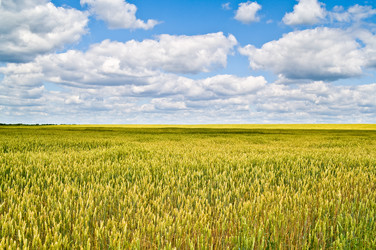 Similar image 165555