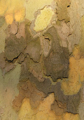 Similar image 165570