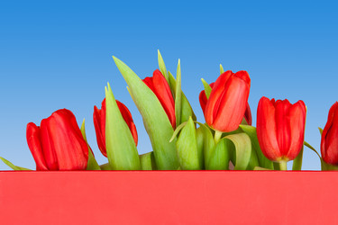 Similar image 165587