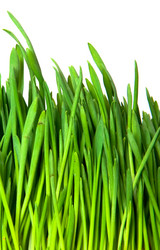 Similar image 165588