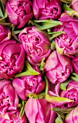 Similar image 165589