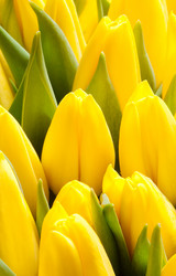 Similar image 165590