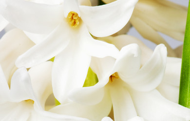 Similar image 165644