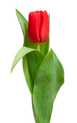 Similar image 165652