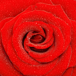 Similar image 165655